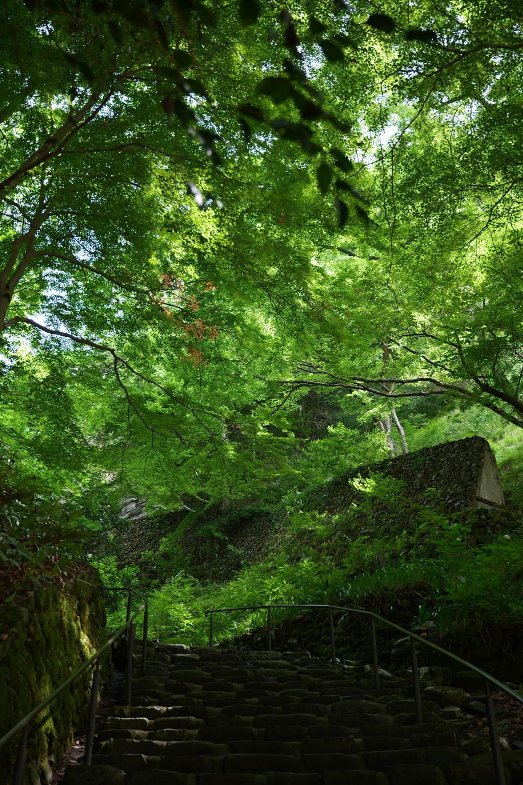 兵庫県豊岡市玄武洞公園１