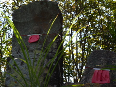 P1000102