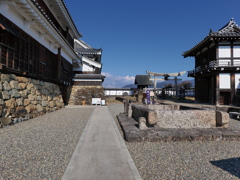 P1001684