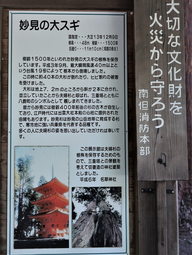 10・養父市 名草神社
