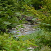 原不動森林公園20
