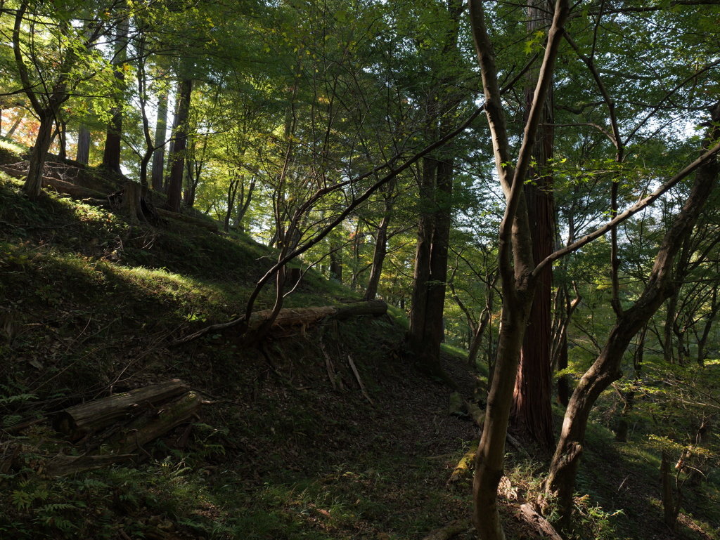 宍粟市最上山公園５