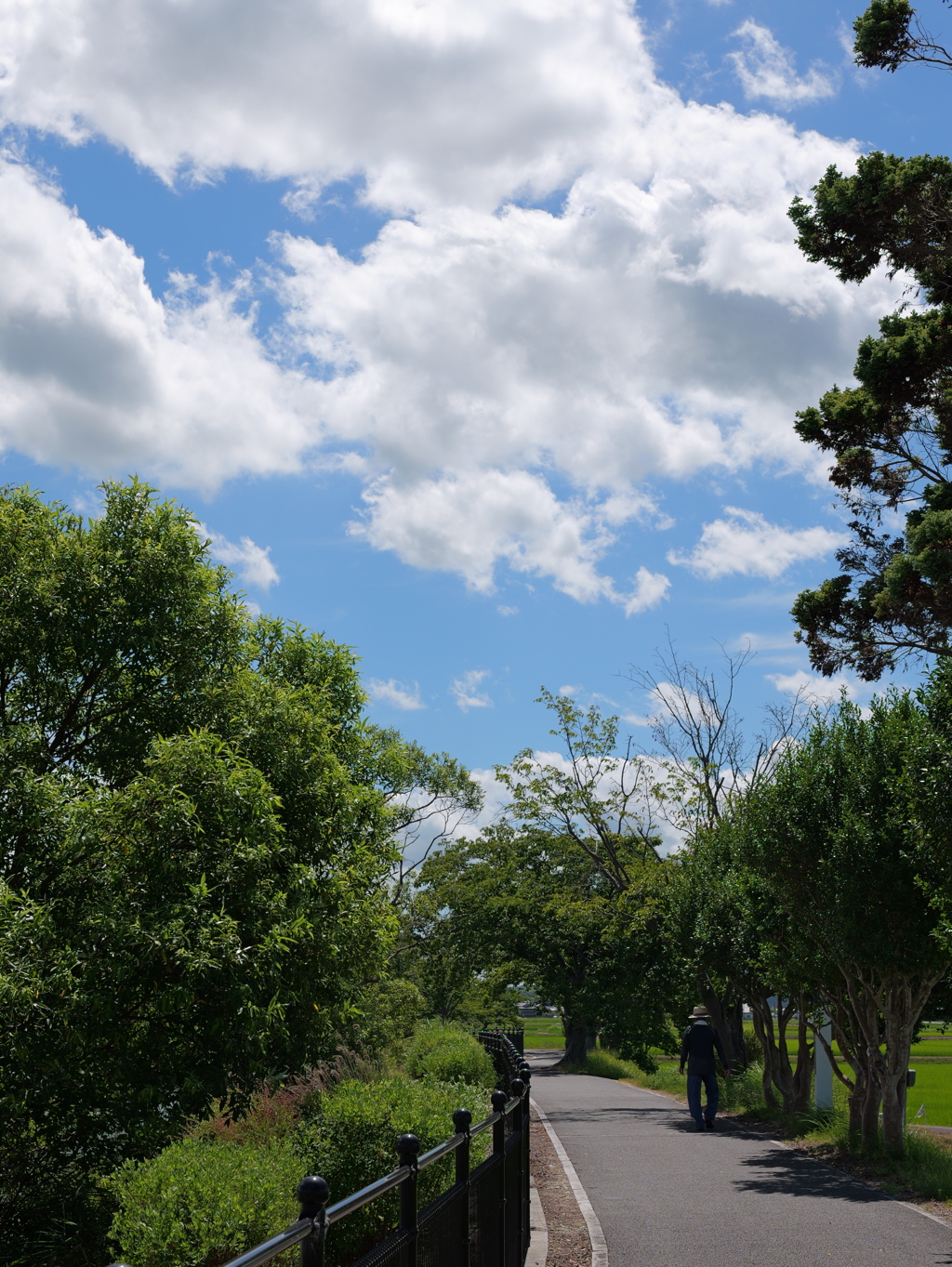 平池公園３（加東市）