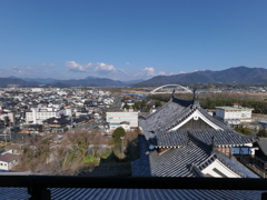 P1001667