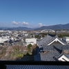 P1001667