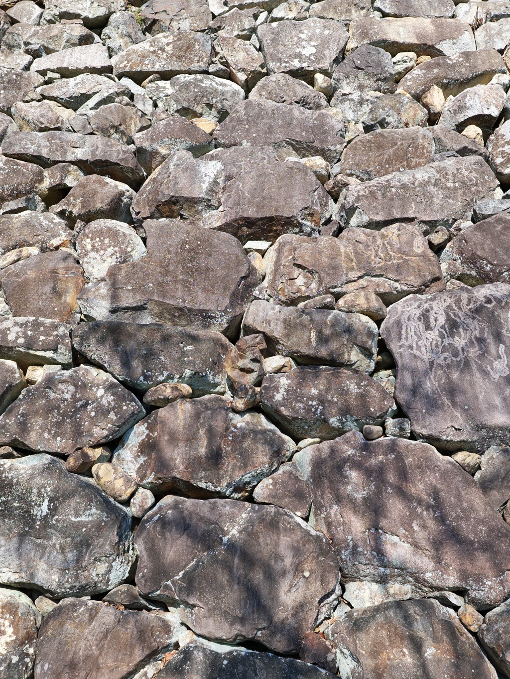 P1001714