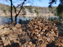 P1001593