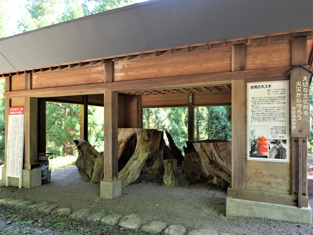 11・養父市 名草神社