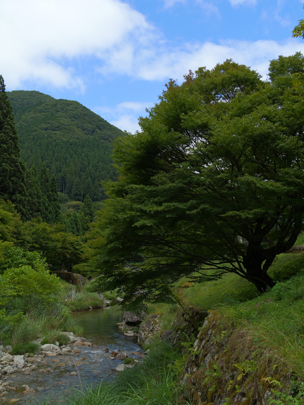 原不動森林公園21
