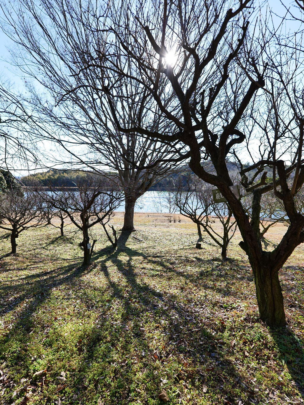 P1001544