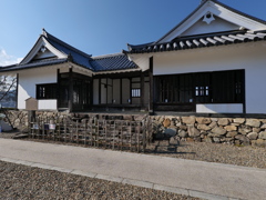 P1001697