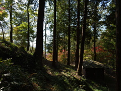 宍粟市最上山公園１０