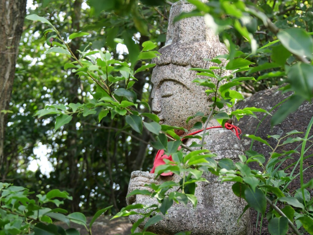 P1000046　トリミング
