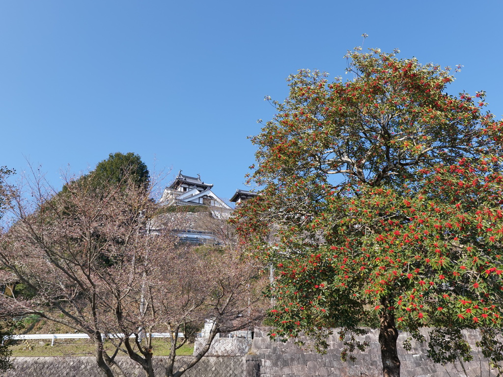 P1001621