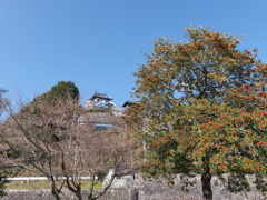 P1001621