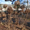 P1001591
