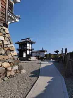 P1001646
