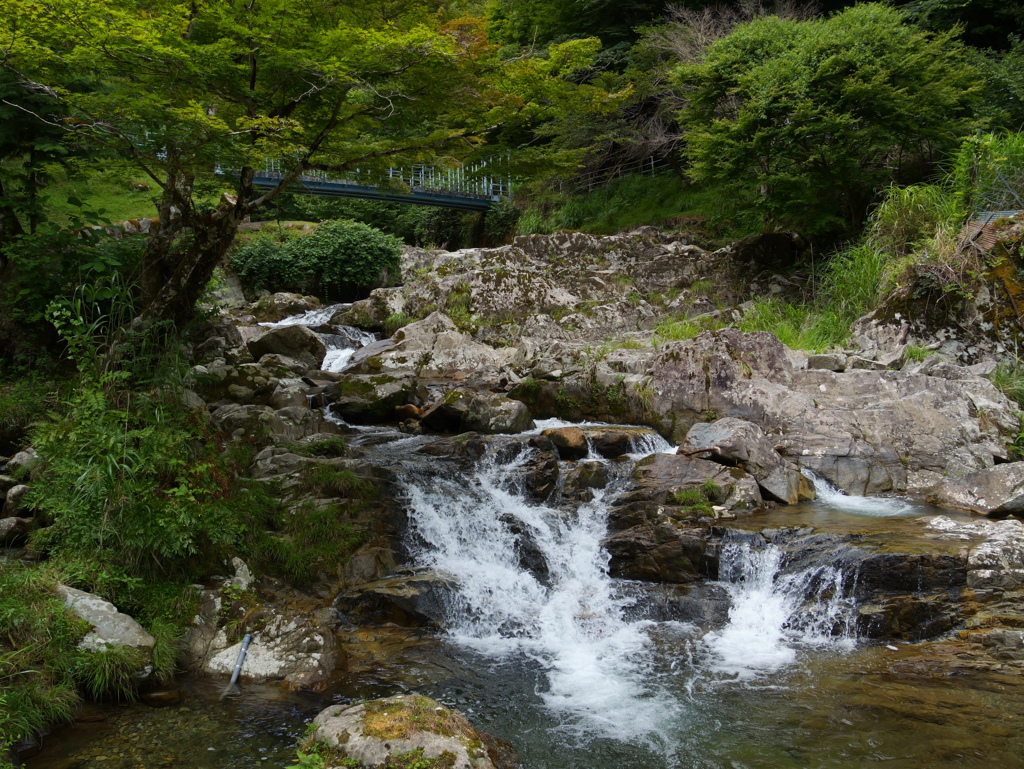 原不動森林公園2
