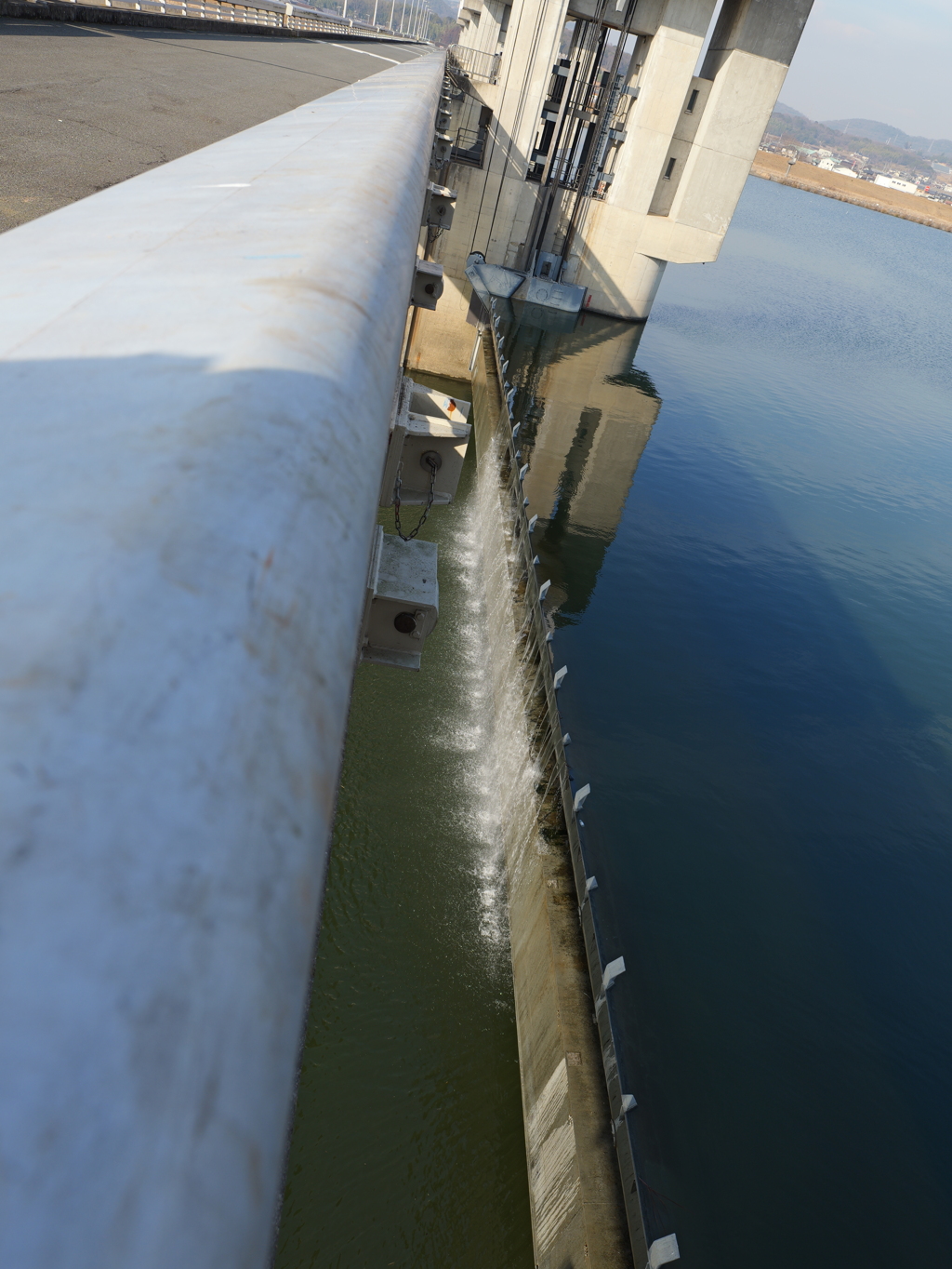 P1011381