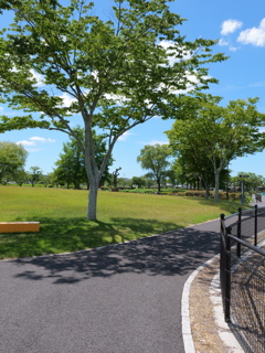 平池公園１１（加東市）