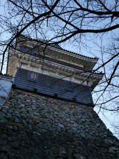 P1001690