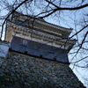 P1001690