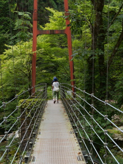 原不動森林公園6