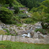 原不動森林公園14