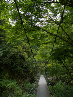 原不動森林公園5