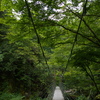 原不動森林公園5