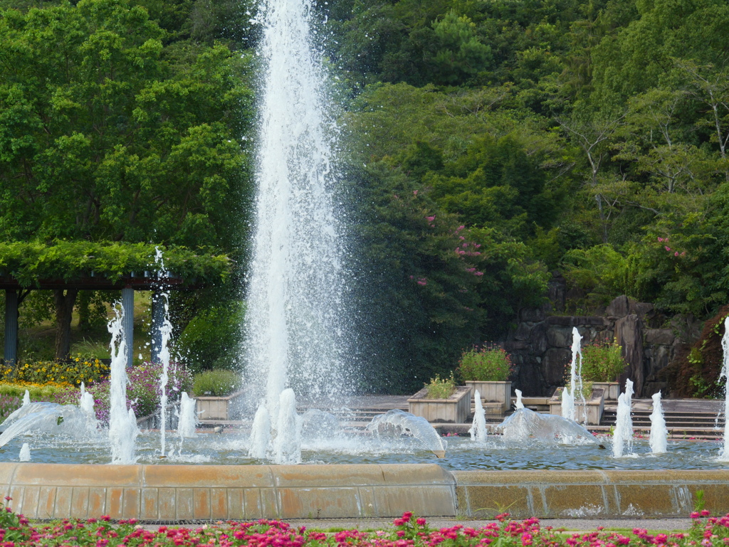 P1000233