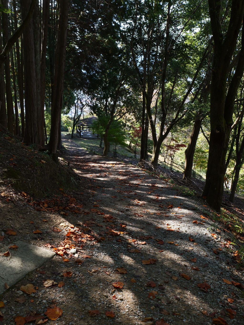 宍粟市最上山公園２１