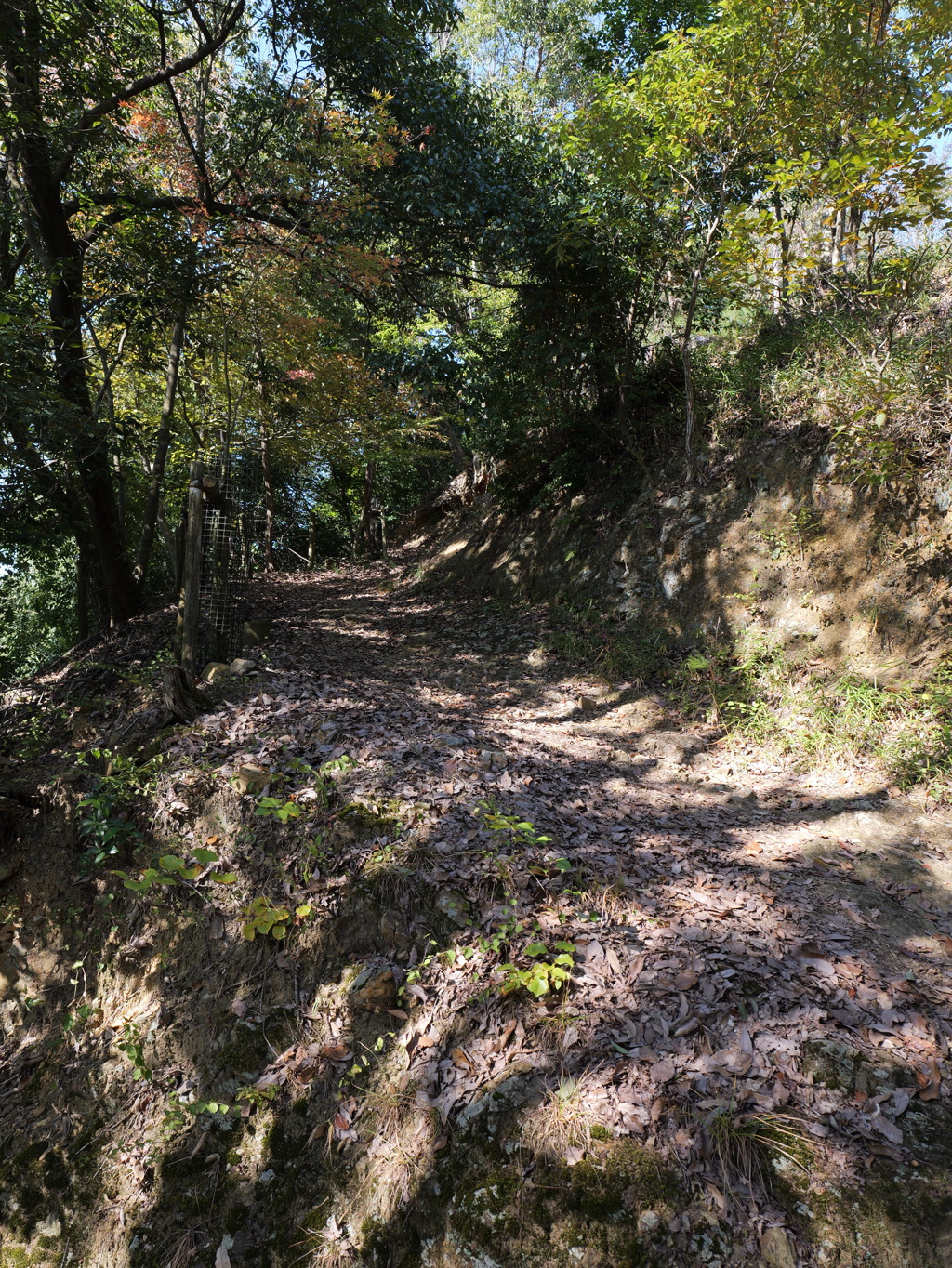 宍粟市最上山公園３６