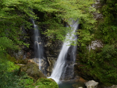 原不動森林公園9