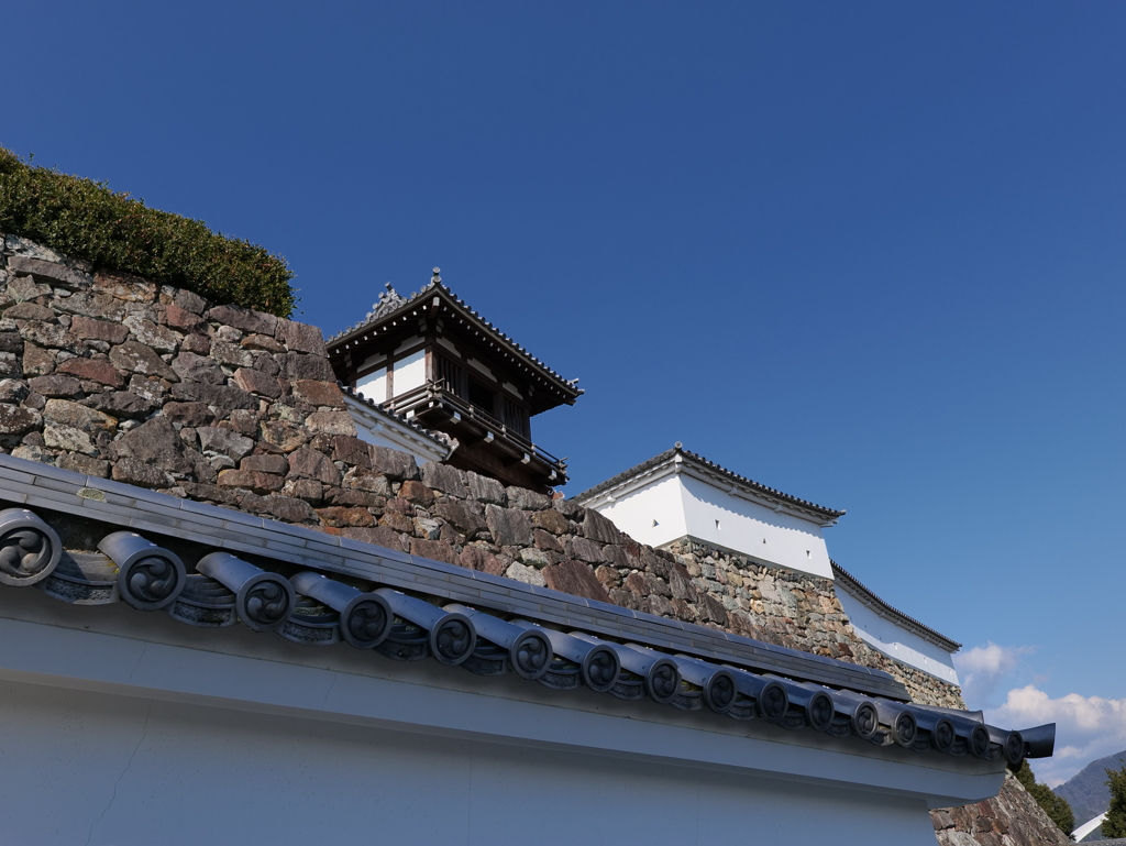 P1001722