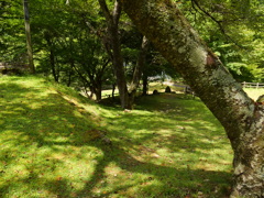 原不動森林公園11