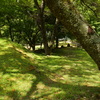 原不動森林公園11