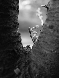 P1000529