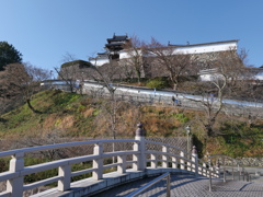 P1001631
