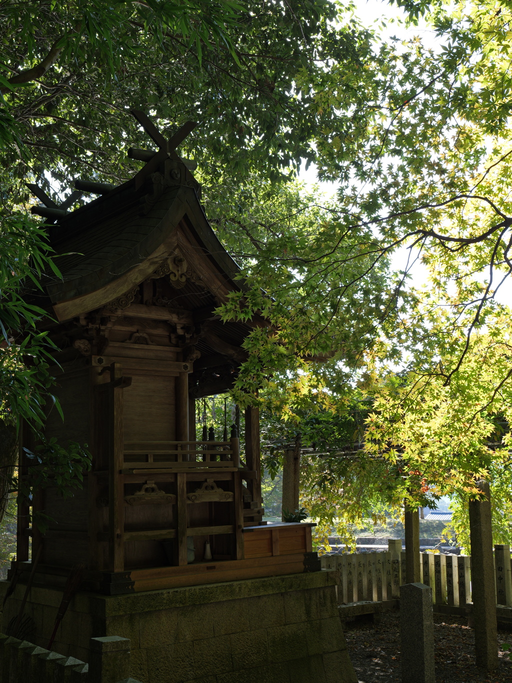 宍粟市最上山公園３