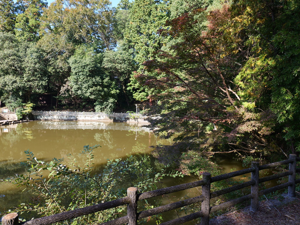 宍粟市最上山公園１