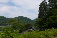 兵庫県豊岡市玄武洞公園１０
