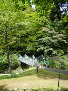 原不動森林公園3