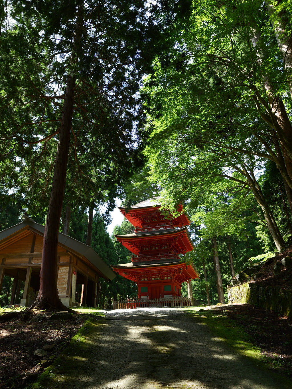 6・養父市 名草神社