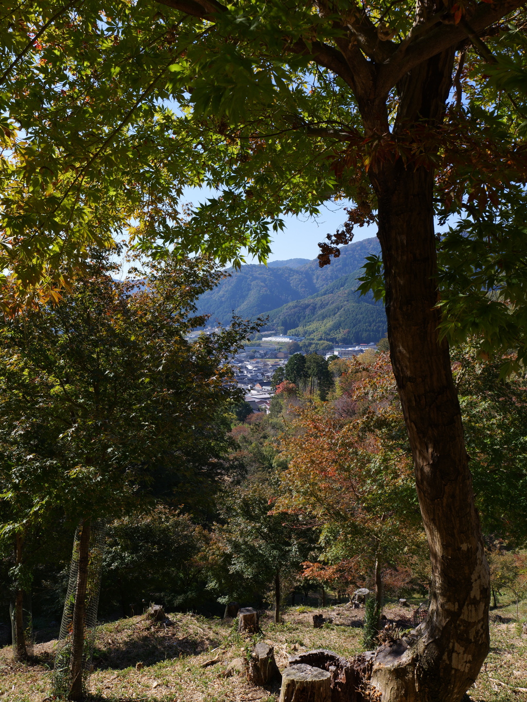 宍粟市最上山公園１８