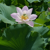 平池公園１８（加東市）