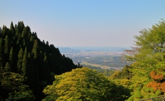 博多湾を望む