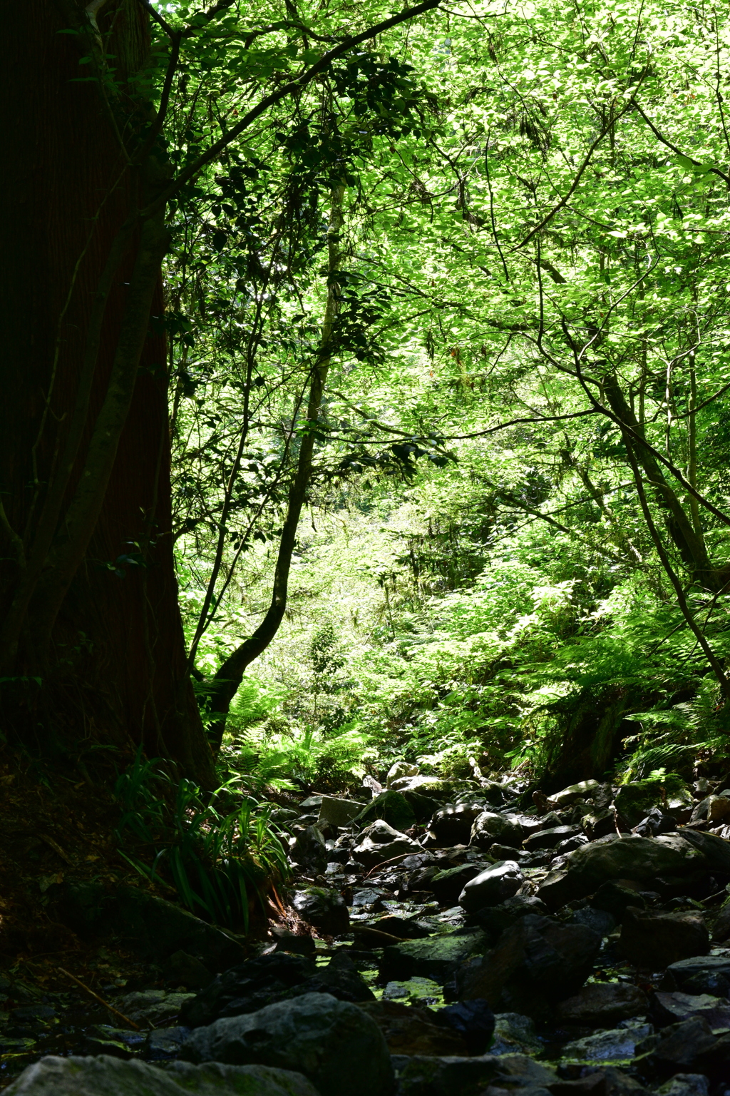 高尾山