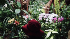 BIOPARK