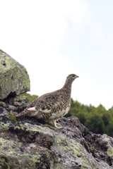 Mt.Ontake at Jul,24 2025 34-2